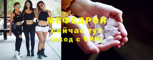 индика Гусь-Хрустальный