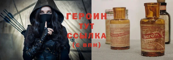 индика Гусь-Хрустальный