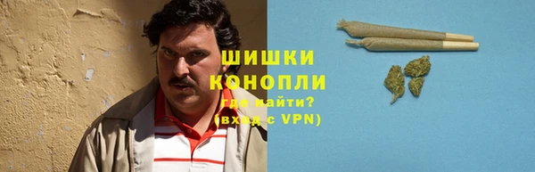 трава Горнозаводск