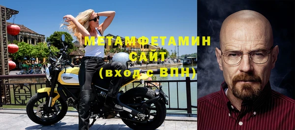 индика Гусь-Хрустальный