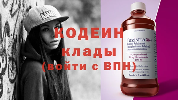 индика Гусь-Хрустальный