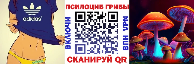 наркошоп Гагарин Псилоцибиновые грибы Psilocybine cubensis