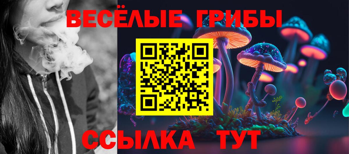 Галлюциногенные грибы ЛСД  Псилоцибиновые грибы Cubensis  Гагарин 