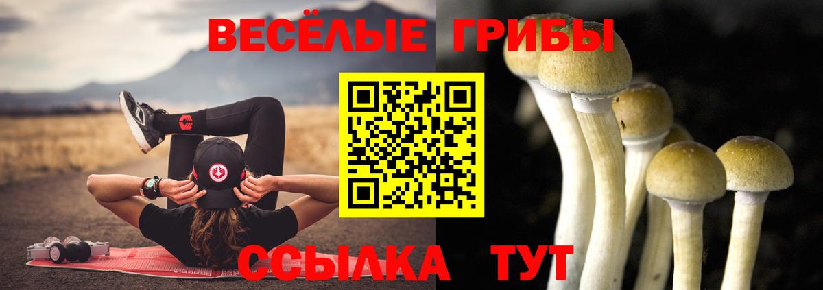 Галлюциногенные грибы ЛСД  Вход с VPN  Псилоцибиновые грибы GOLDEN TEACHER  Гагарин 