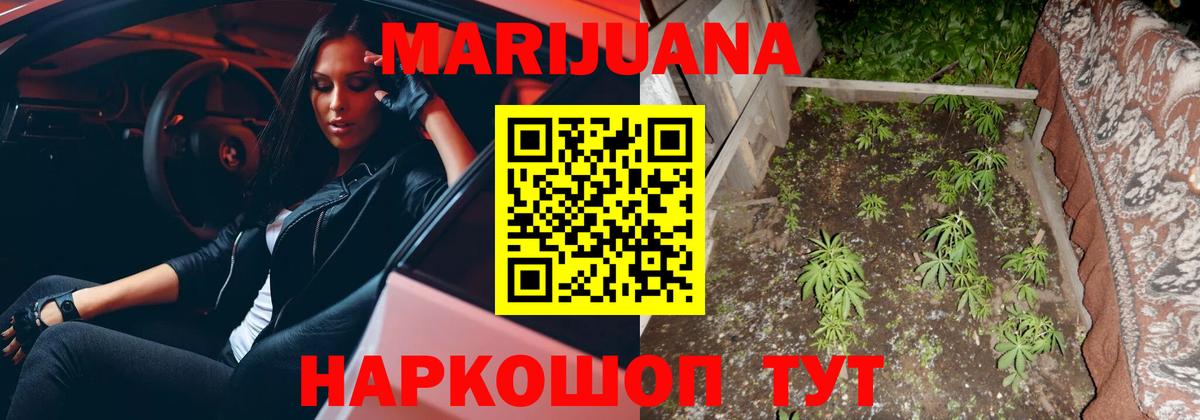Каннабис планчик  Бошки Шишки марихуана  Гагарин  Бошки Шишки White Widow  Вход с VPN 